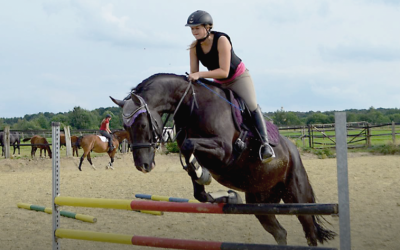 Erfolgreiche Zusammenarbeit auf Augenhöhe: Was Führungskräfte von Pferden lernen können