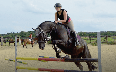 Erfolgreiche Zusammenarbeit auf Augenhöhe: Was Führungskräfte von Pferden lernen können