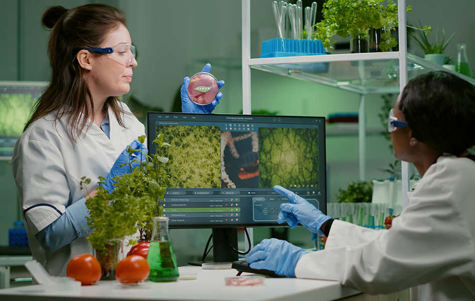 Verfahrenstechnikingenieure in der Lebensmittelproduktion