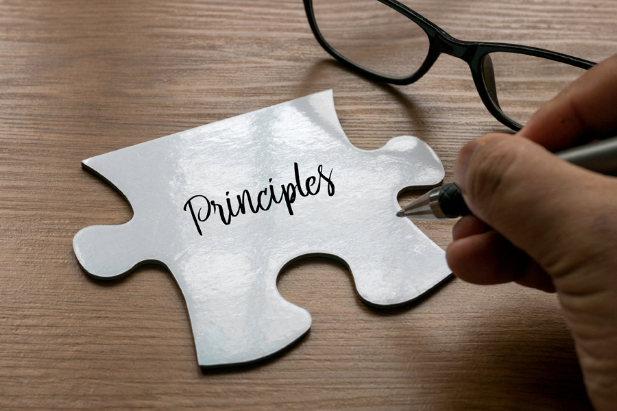 BDU Berufsgrundsätze